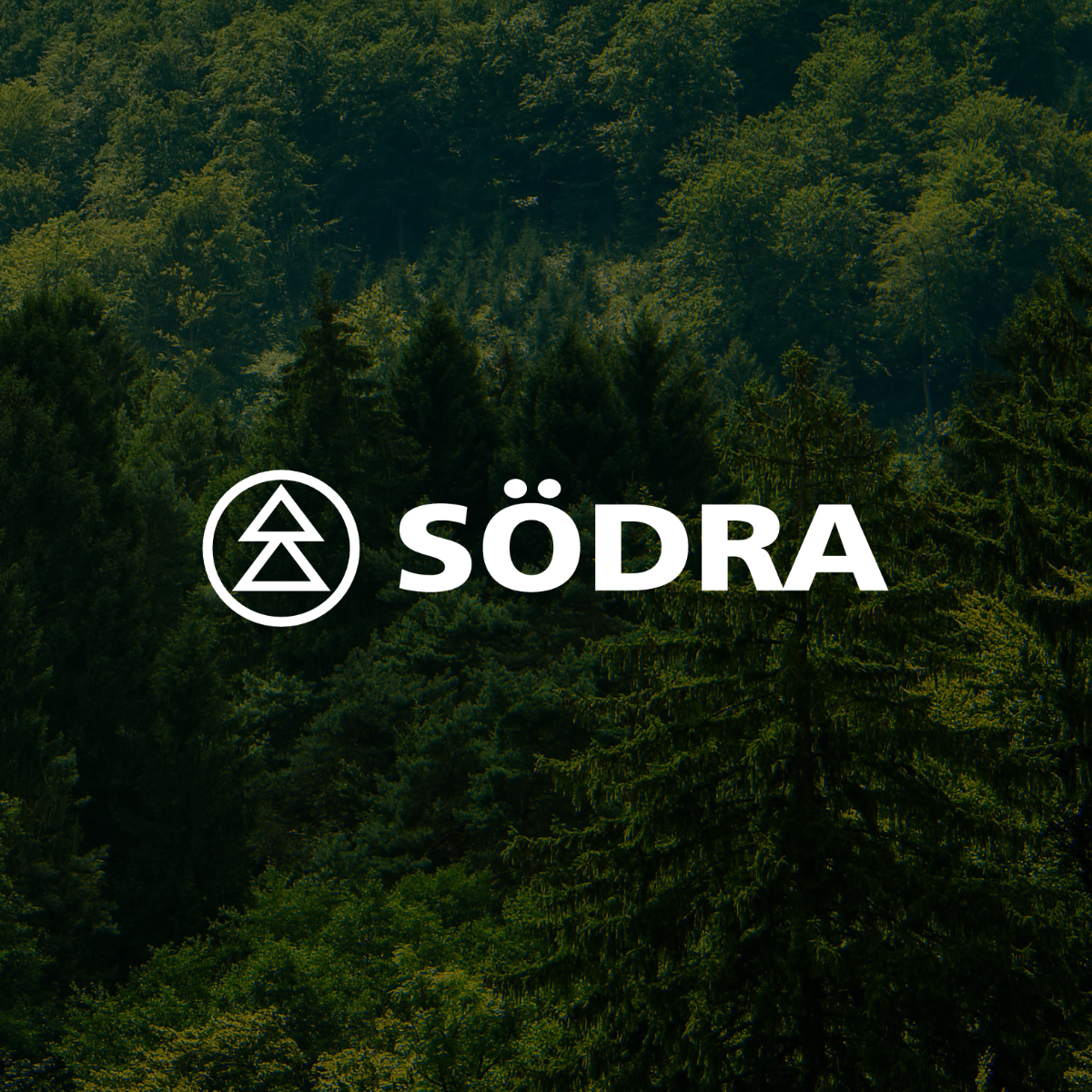 Läs mer om artikeln Södra Cell selects Engage Group to implement Dynamics 365 Finance & Operations 